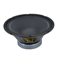 Gold Audio HP-315 15" 38cm Hoparlör (Siyah)
