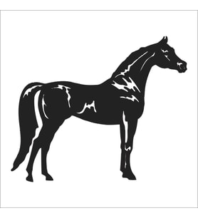 AT FOLYO STİCKER 50cm Uzunluk (Karışık)
