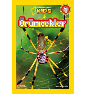Kids - Örümcekler