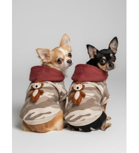 Safari Friends Kapüşonlu Köpek Sweatshirt – Küçük Irklar (Karışık)