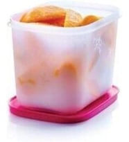 Tupperware Alaska Serisi Dik Buzdolabı Saklama Kabı