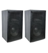 Arriva Profesyonel Pasif Kabin Hoparlör 12'' 250 Watt 2 Adet