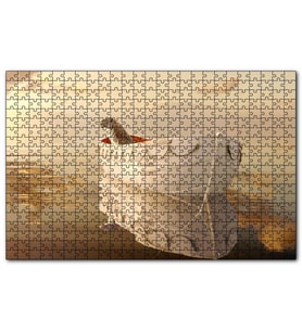 Cakapuzzle Pi'nin Yaşamı Kaplan ve Sandal Puzzle Yapboz MDF (Ahşap) (120 Parça)