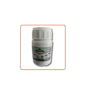 Bermuda EW Kokulu Haşere Öldürücü  50 ml