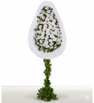 Beyaz Gerbera Kırmızı Ayaklı Tek Göbekli Çelenk