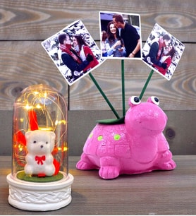 Kişiye Özel Hediye Seti 3 Fotoğraflı Sevimli Pembe Kaplumbağa ve Led Işıklı Fanus (Model 5)