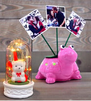 Kişiye Özel Hediye Seti 3 Fotoğraflı Sevimli Pembe Kaplumbağa ve Led Işıklı Fanus (Model 5)