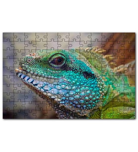 Cakapuzzle Yeşil Mavi Renkleri Kertenkele Yakın Çekim Puzzle Yapboz MDF (Ahşap) (120 Parça)
