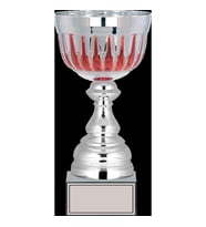 ODAK KUPA - Large Kupalar - L-037 A - 29 cm