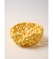 MYCRAFT3D Organik Delikli Dekoratif Kase Modern Şık Hafif Dayanıklı Ev Dekoru 20x9 cm