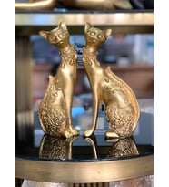 2 Li Dekoratif Kedi Biblo Desenli (Gold)