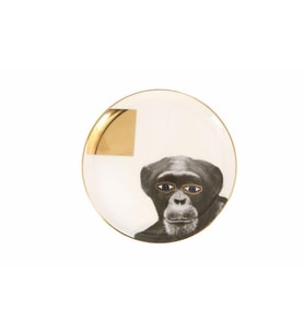 Porland Wild Life Monkey Düz Tabak 20 cm  04ALM005126