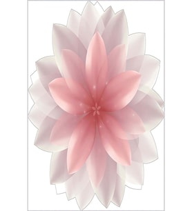 Eliana Home Baskılı, Yıkanabilir Kaymaz Taban Salon Halısı LNA1889-SD446 100x150 cm (Beyaz)
