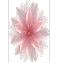 Eliana Home Baskılı, Yıkanabilir Kaymaz Taban Salon Halısı LNA1889-SD446 100x150 cm (Beyaz)