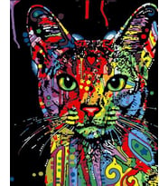 Kedi Sayılarla Boyama Seti 40x 50 cm ( Tuvale Gerili)