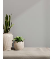 AdaWall Hue Koleksiyonu 24202-3 Duvar Kağıdı