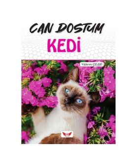 Can Dostum Kedi