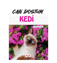 Can Dostum Kedi