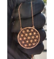 Kadın 925 Ayar Gümüş Yaşam Çiçeği Kolye (Rose)