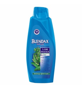 Blendax Isırgan Özlü Saç Dökülmelerine Karşı Şampuan 550 ml
