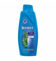 Blendax Isırgan Özlü Saç Dökülmelerine Karşı Şampuan 550 ml