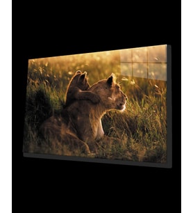 Aslan Hayvan Cam Tablo 4mm Dayanıklı Temperli Cam