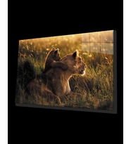 Aslan Hayvan Cam Tablo 4mm Dayanıklı Temperli Cam
