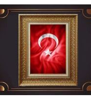 Gold Altın Kalın Çerçeveli Paspartulu Tablo s521