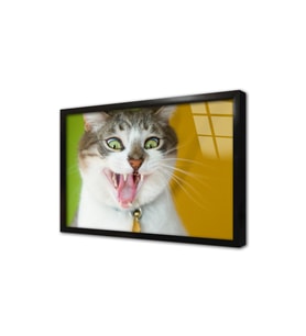 Kedi Çerçeveli Cam Tablo