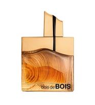 Fragrance World Bois De Bois EDP 100 ml Erkek Parfümü