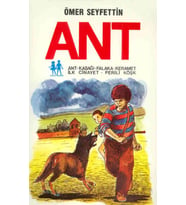 Ant