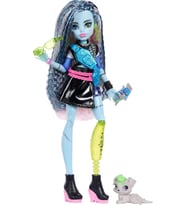 Monster High Ana Karakter Bebekler Frankie Stein JHK31