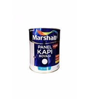 PANEL KAPI BOYASI BW BAZ 2,5 LT