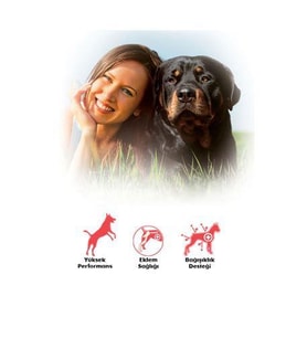 Bonacibo Adult Dog Yüksek Enerjili Köpek Maması 4 Kg