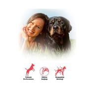 Bonacibo Adult Dog Yüksek Enerjili Köpek Maması 4 Kg
