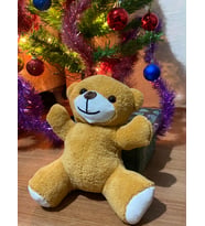 Peluş Ayıcık