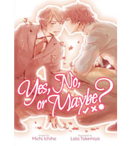 Yes, No, Or Maybe? (Light Novel 1)