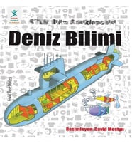 Deniz Bilimi