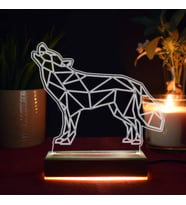 Uluyan Kurt Tasarımlı 3d Led Lamba