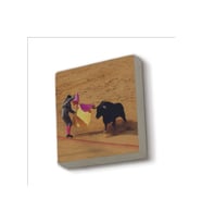 İspanya Boğa güreşi Baskılı Taş Magnet 5X5