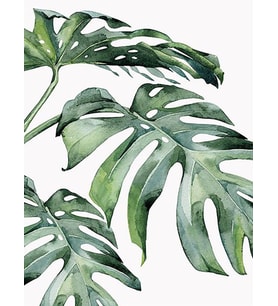 Monstera Sayılarla Boyama Seti 40x50 cm (Tuvale Gerili)
