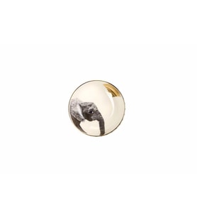Porland Wild Life Elephant Kase 10 cm 04ALM006449
