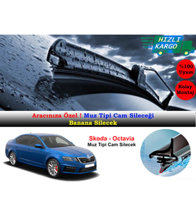 Skoda Octavia Muz Silecek Takımı 2013-