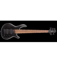 CORT B5 ELEMENT OPTB