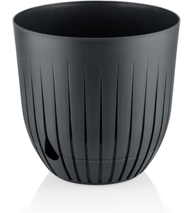 Saksı Plastik Delikli Tabaklı Çiçek Saksısı (1 Adet, Antrasit, 5 Litre)