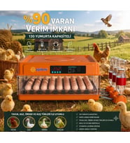 Tam Otomatik Kuluçka Makinesi 130 Yumurta Kapasiteli Akıllı Isı ve Nem Kontrolü Otomatik Yumurta