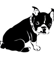 YAVRU KÖPEK FOLYO STİCKER 100cm Uzunluk (Karışık)