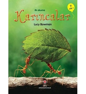İlk Okuma - Karıncalar