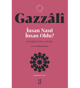 İnsan Nasıl İnsan Oldu?