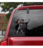 Araba Arka Cam Köpek  Sticker Yapıştırma 17cm A2